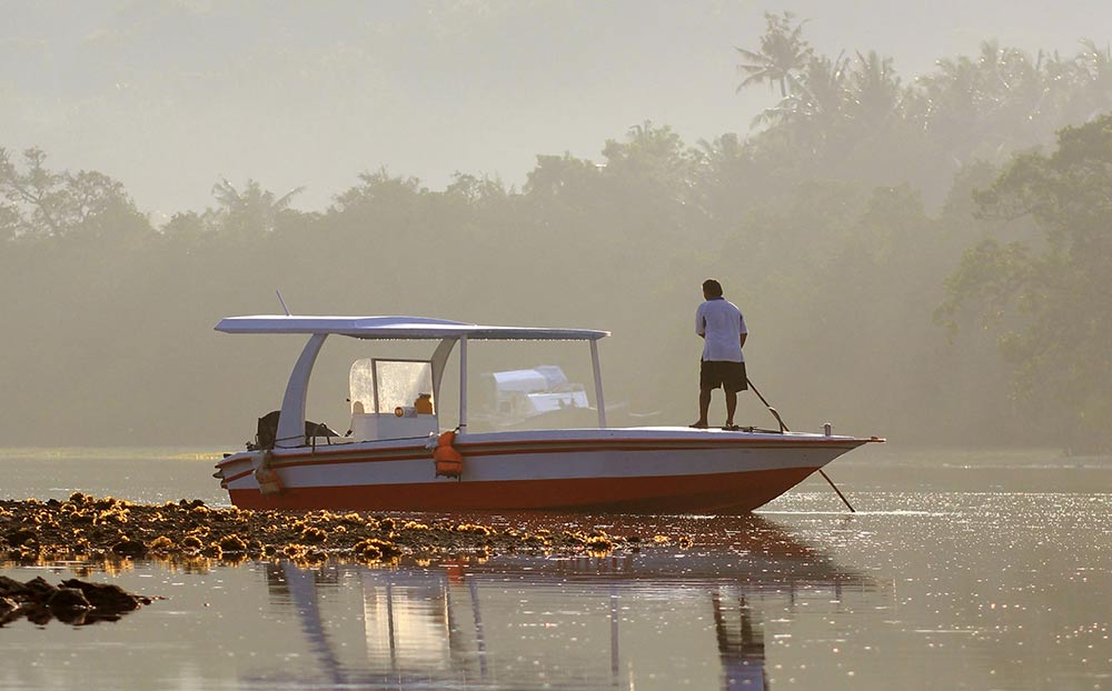 The Acala by Clorova