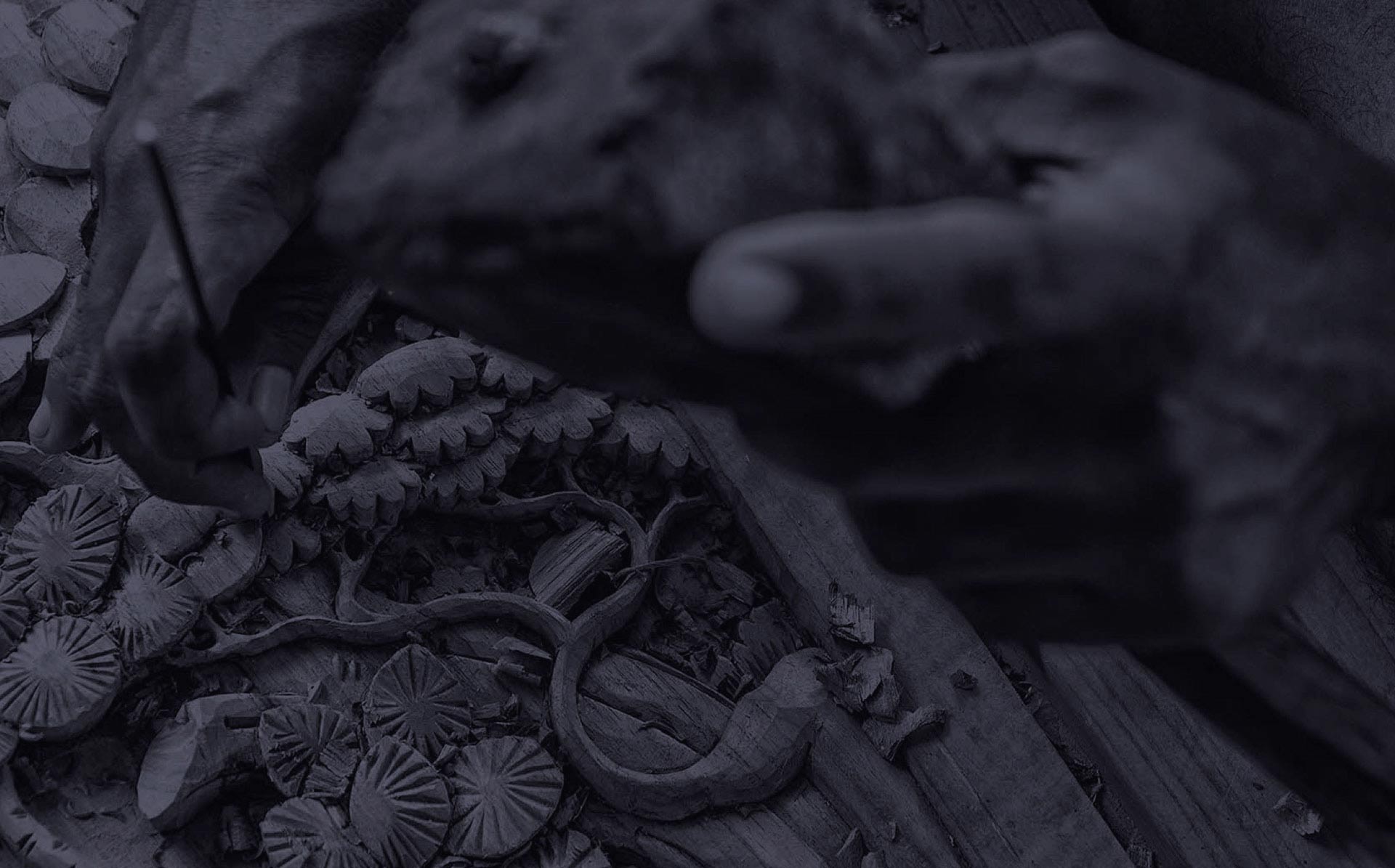 Mowilex Documentation & Product Photography — Clorova Media Production