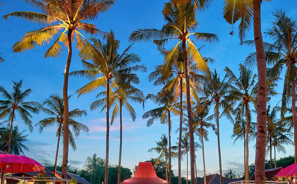 PNK Hotels by Clorova